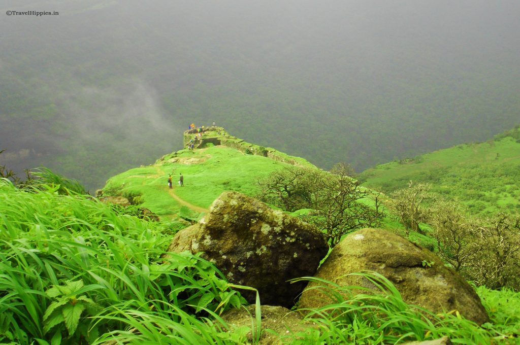 Rajmachi Trek and camping