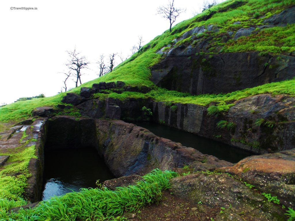 Rajmachi Trek