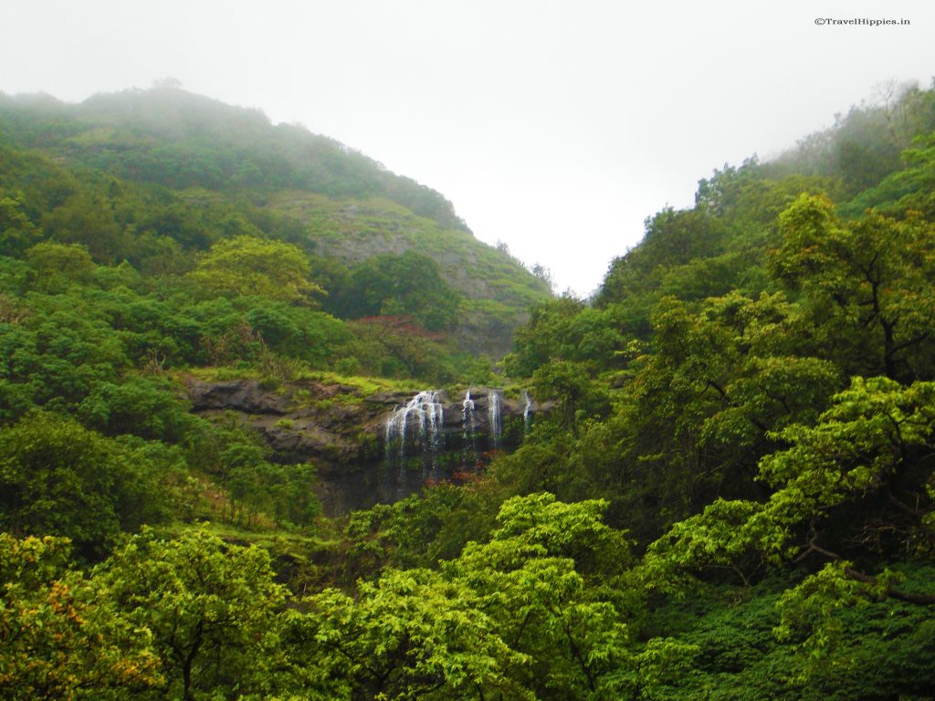 Rajmachi Trek Guide contact details