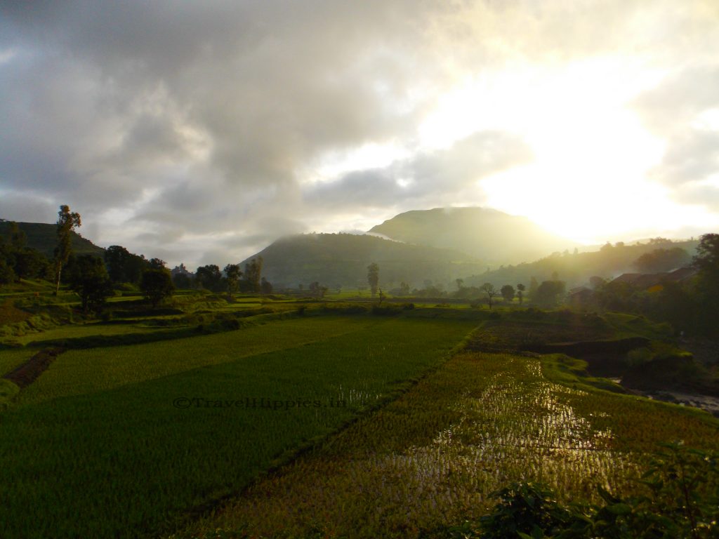 Kalsubai Trek