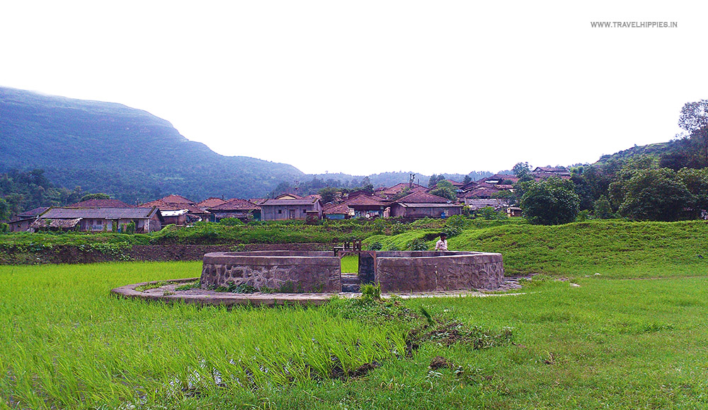 Kalsubai trek in Monsoon