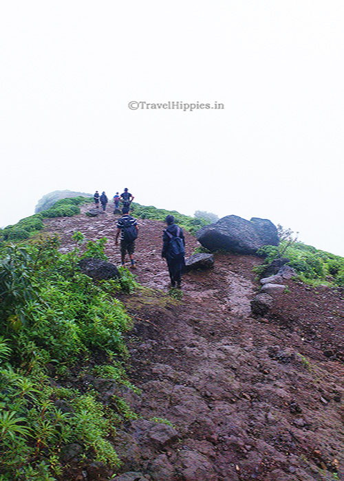 Kalsubai Trek difficulty level