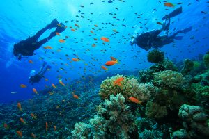 Scuba diving in india, havelock island, andaman and nicobar island