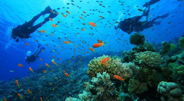 Scuba diving in india, havelock island, andaman and nicobar island