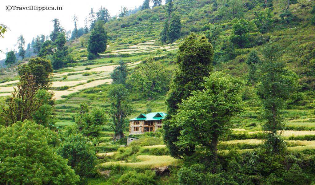 Grahan Village - Himachal