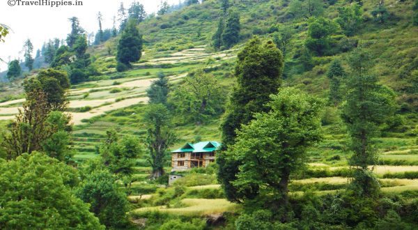 Grahan Village - Himachal