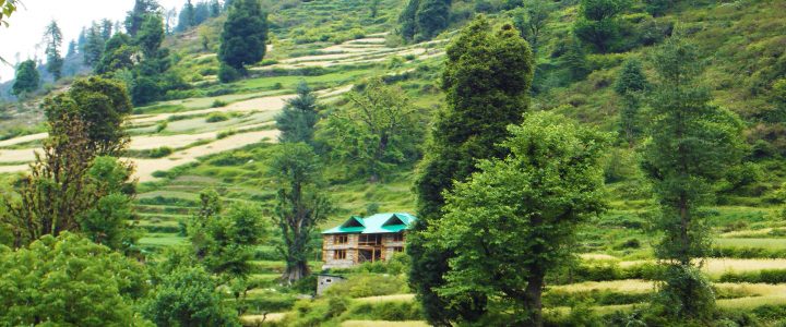 Grahan Village - Himachal