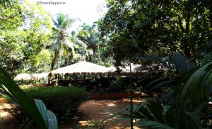 Goa Spice Plantation tour