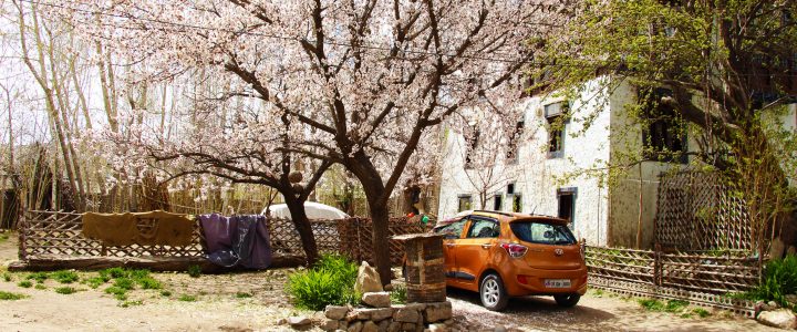 home stays in Ladakh