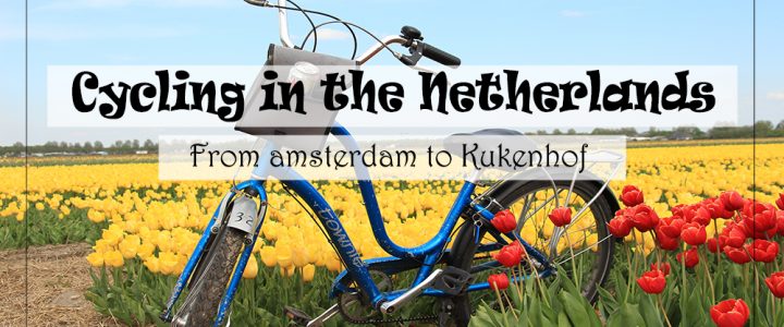 cycling from Amsterdam to Tulip Fields Keukenhof