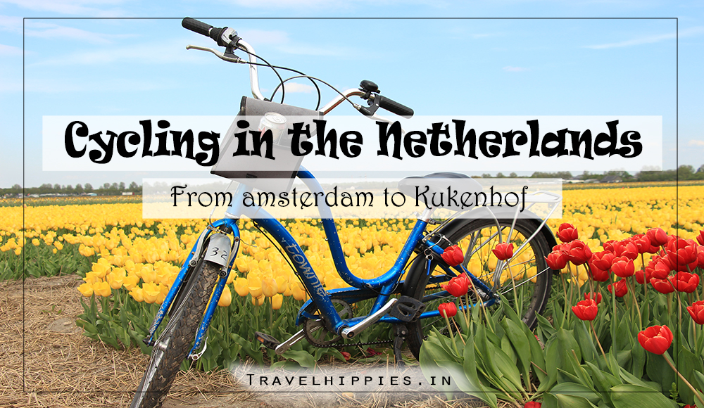 cycling from Amsterdam to Tulip Fields Keukenhof