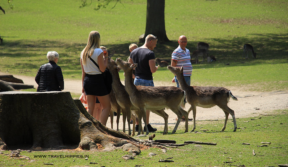 Top things to do in Aarhus