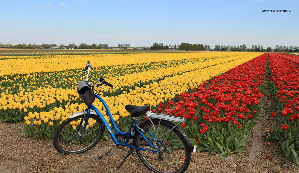 best-day-trips-from-amsterdam-on-cycle