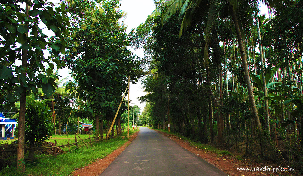 Banavasi to Jog Falls Road