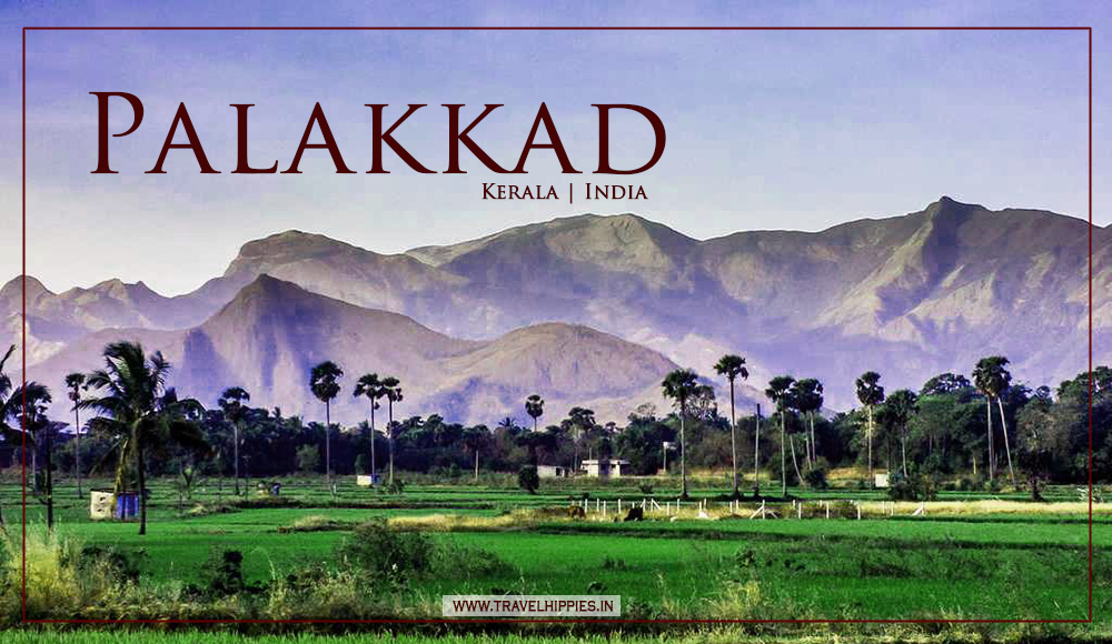 5 Places To Visit In Palakkad Kerala On One Day Trip Travel Hippies