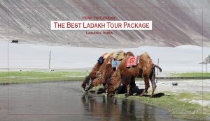ladakh package