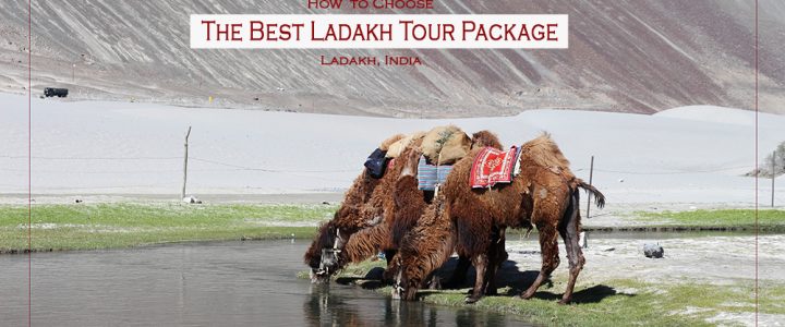 ladakh package